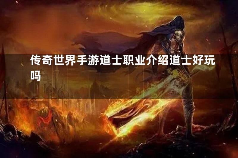 传奇世界手游道士职业介绍道士好玩吗