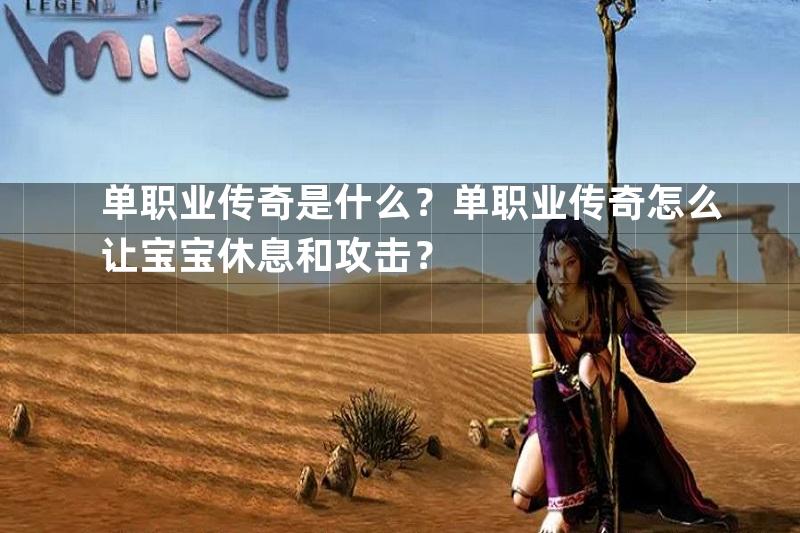 单职业传奇是什么？单职业传奇怎么让宝宝休息和攻击？