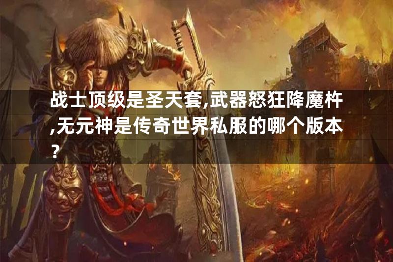 战士顶级是圣天套,武器怒狂降魔杵,无元神是传奇世界私服的哪个版本？