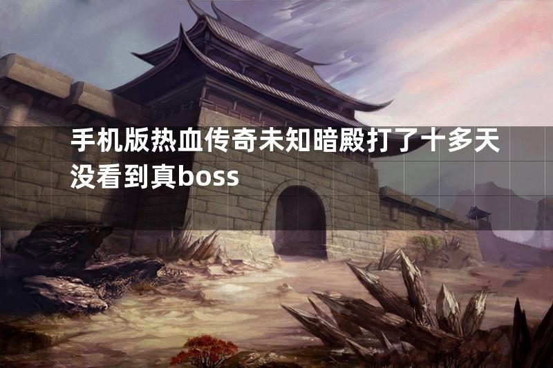 手机版热血传奇未知暗殿打了十多天没看到真boss