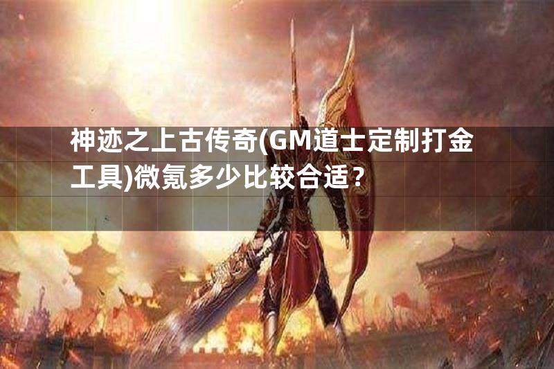 神迹之上古传奇(GM道士定制打金工具)微氪多少比较合适？