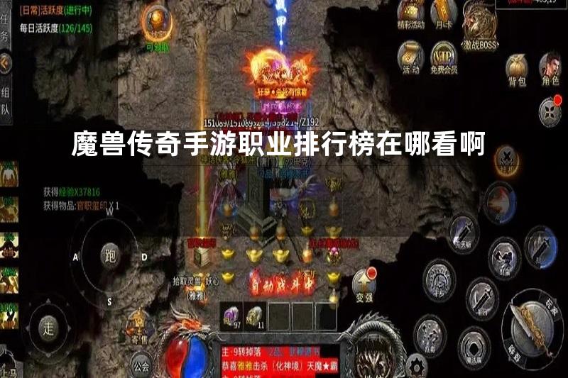 魔兽传奇手游职业排行榜在哪看啊