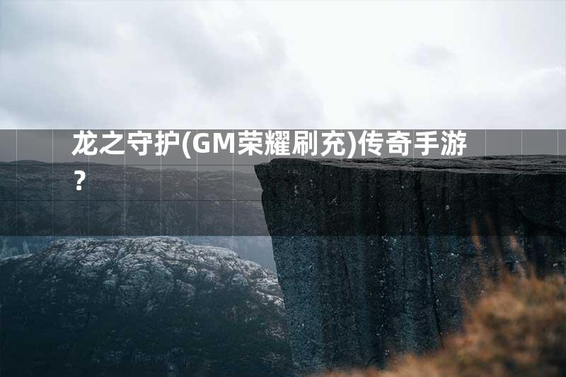 龙之守护(GM荣耀刷充)传奇手游？